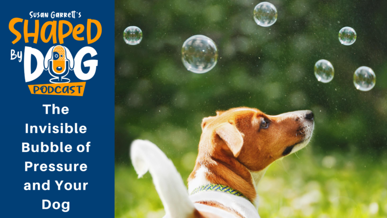Episode 22: The Invisible Bubble of Pressure and Your Dog - DogsThat