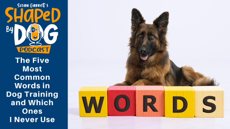 Episode 52: The Five Most Common Words in Dog Training and Which Ones I