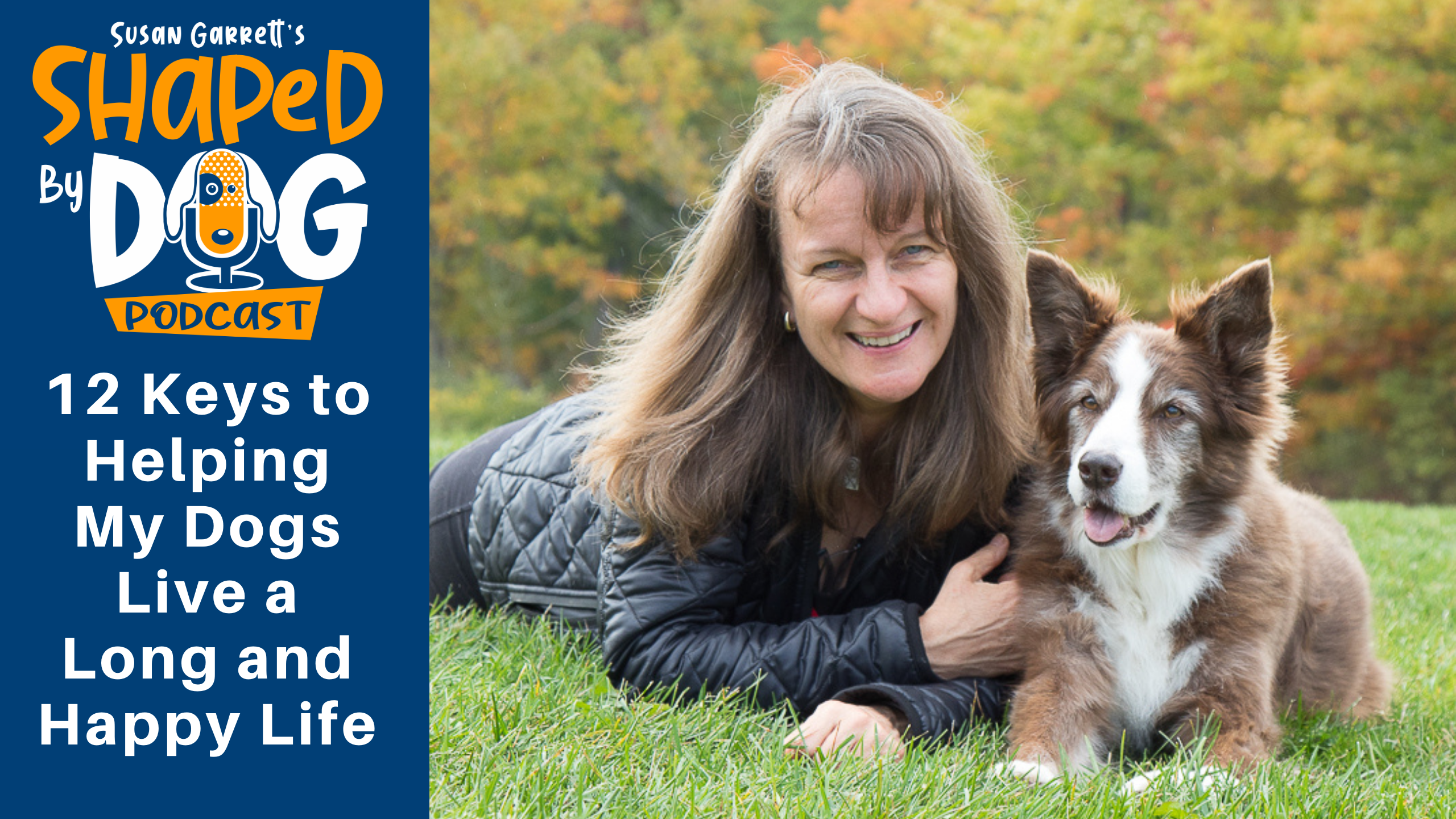 Ensuring Your Australian Shepherd Will Live a Longer, Fuller Life - Volhard  Dog Nutrition