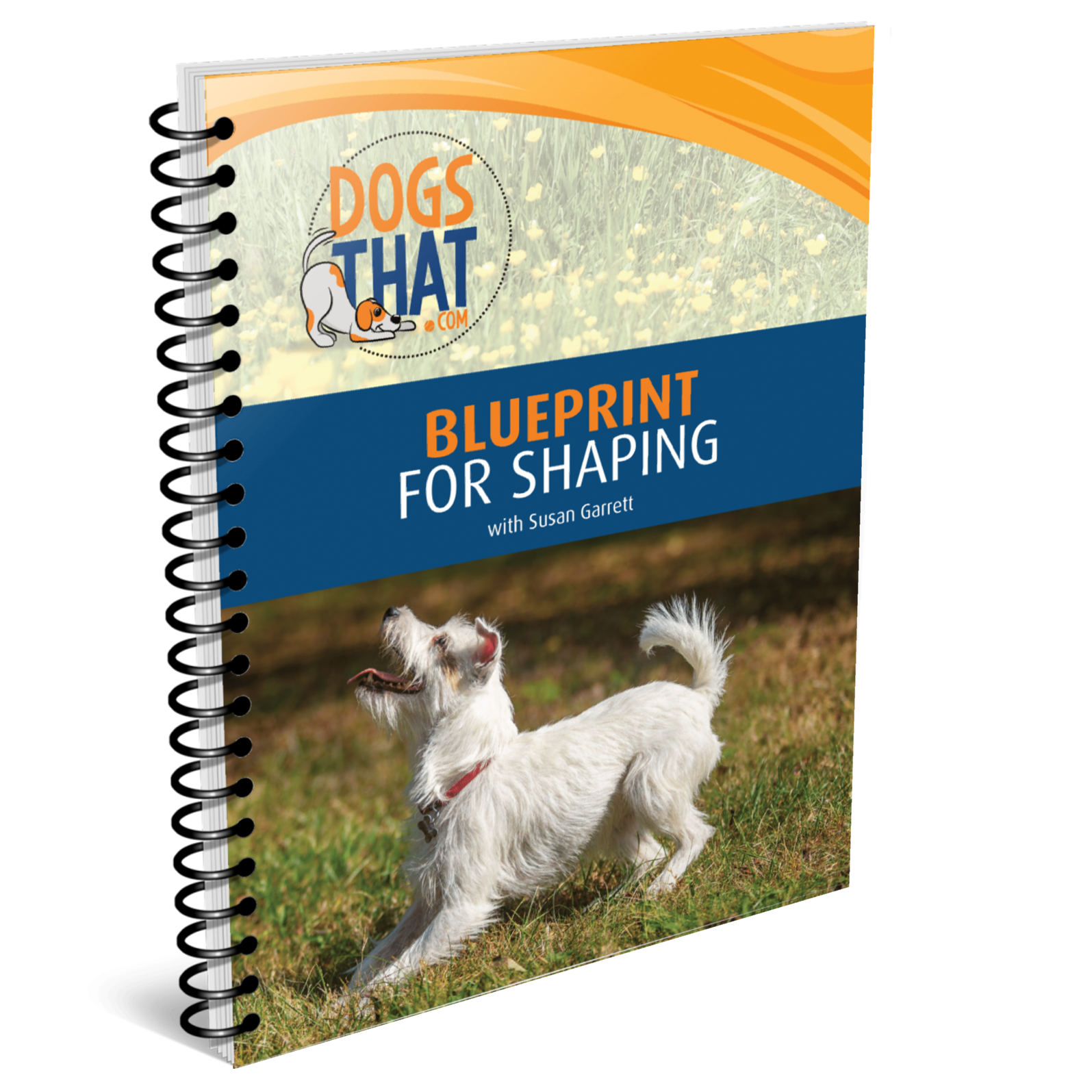 Blueprint for Shaping 