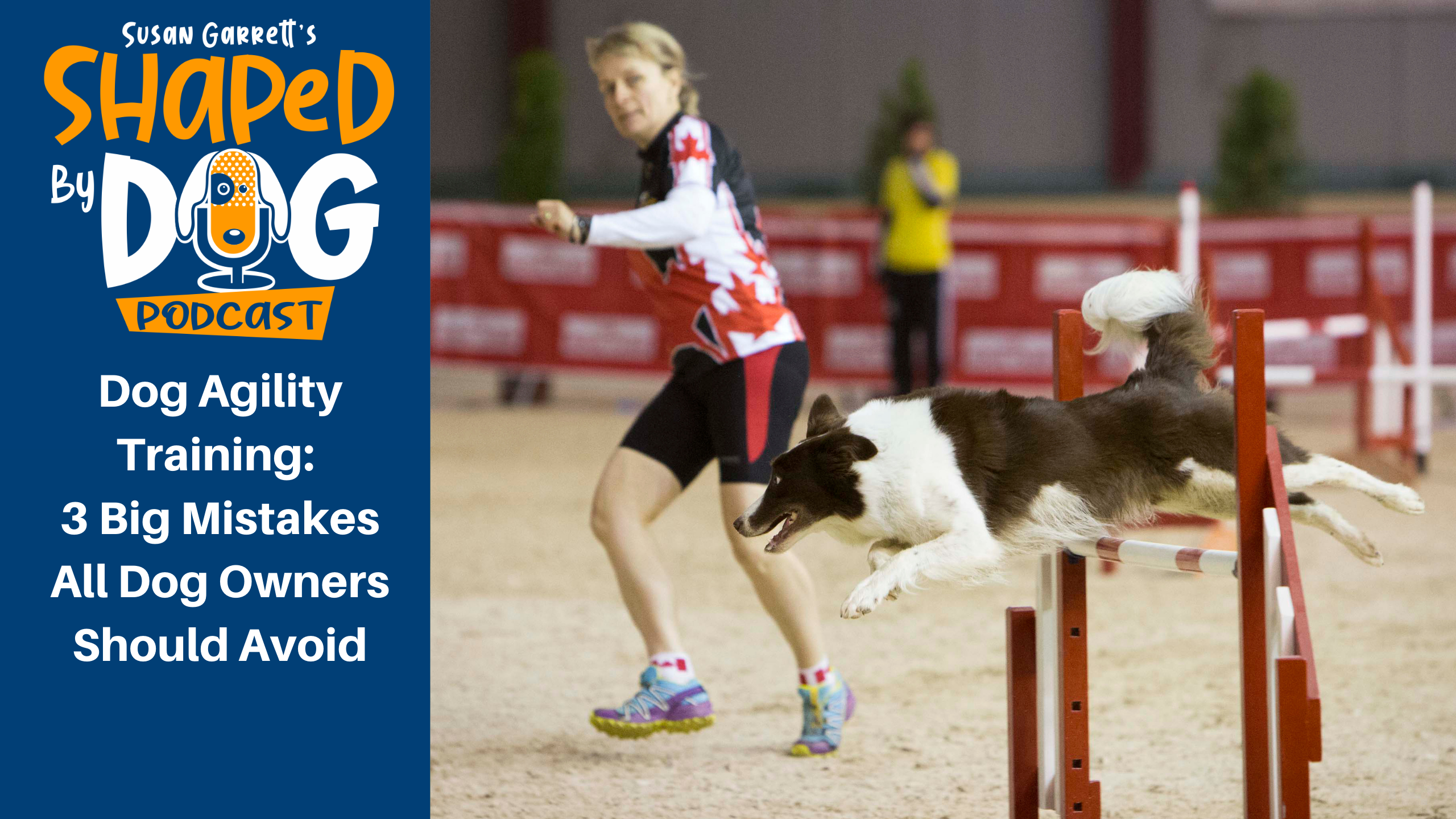 how wide are dog agility jumps