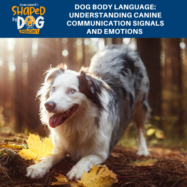 Susan Garrett s Shaped by Dog Podcast All Episodes Susan Garrett s Shaped by Dog Podcast All Episodes