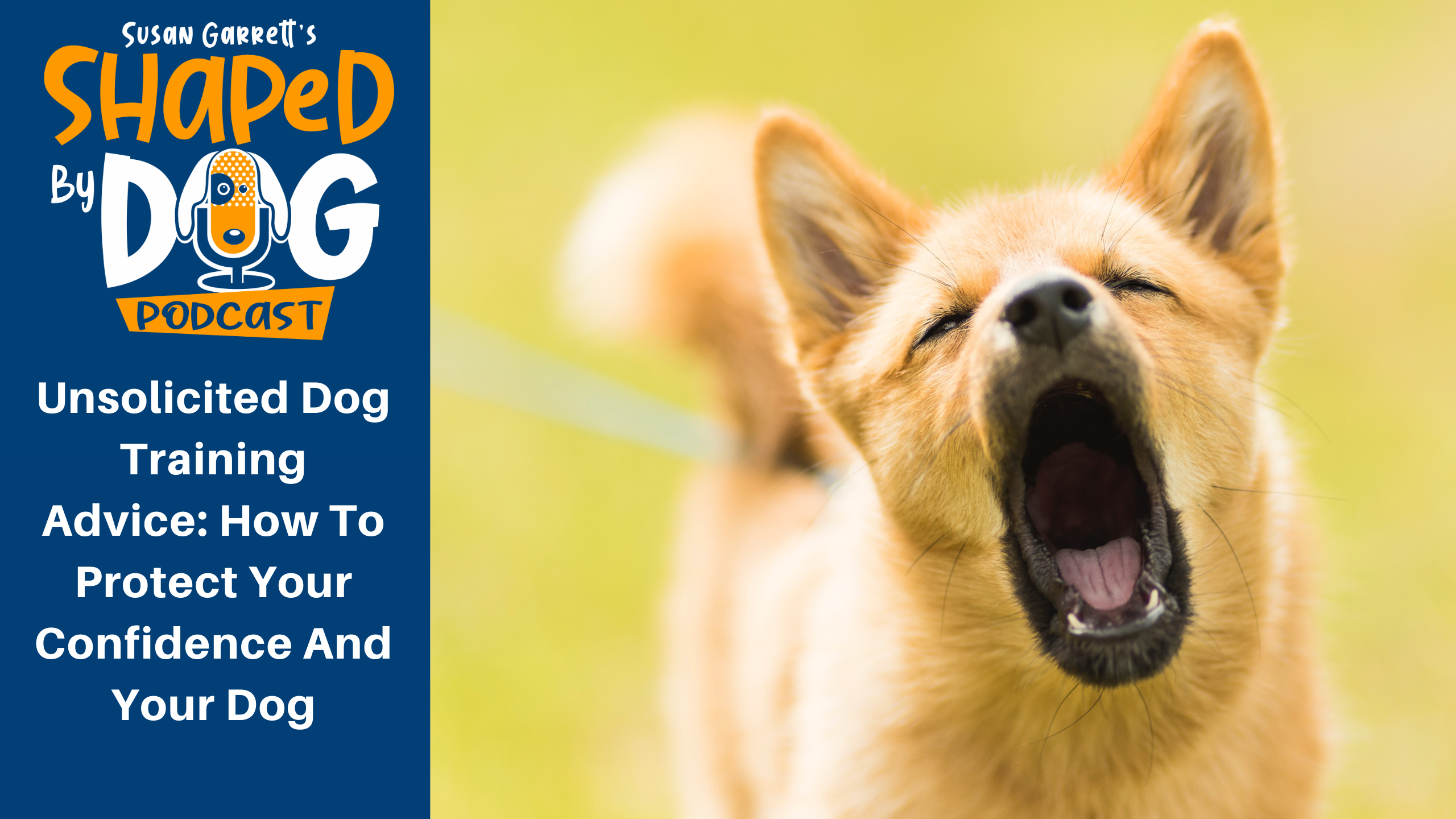 how to train dog to growl on command