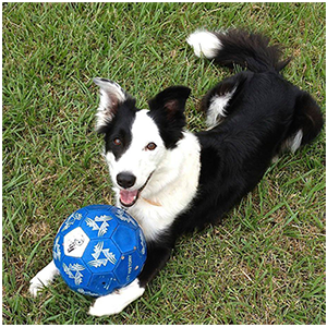 ruth-test-2