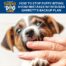 Episode: #234 - How To Stop Puppy Biting: Avoid Mistakes With Susan Garrett’s Backup Plan
