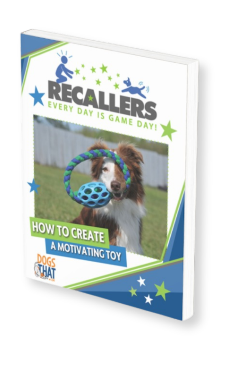susan-garrett-s-how-to-create-a-motivating-toy-ebook-dogsthat