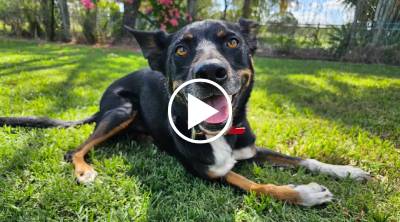 Kiara's Story