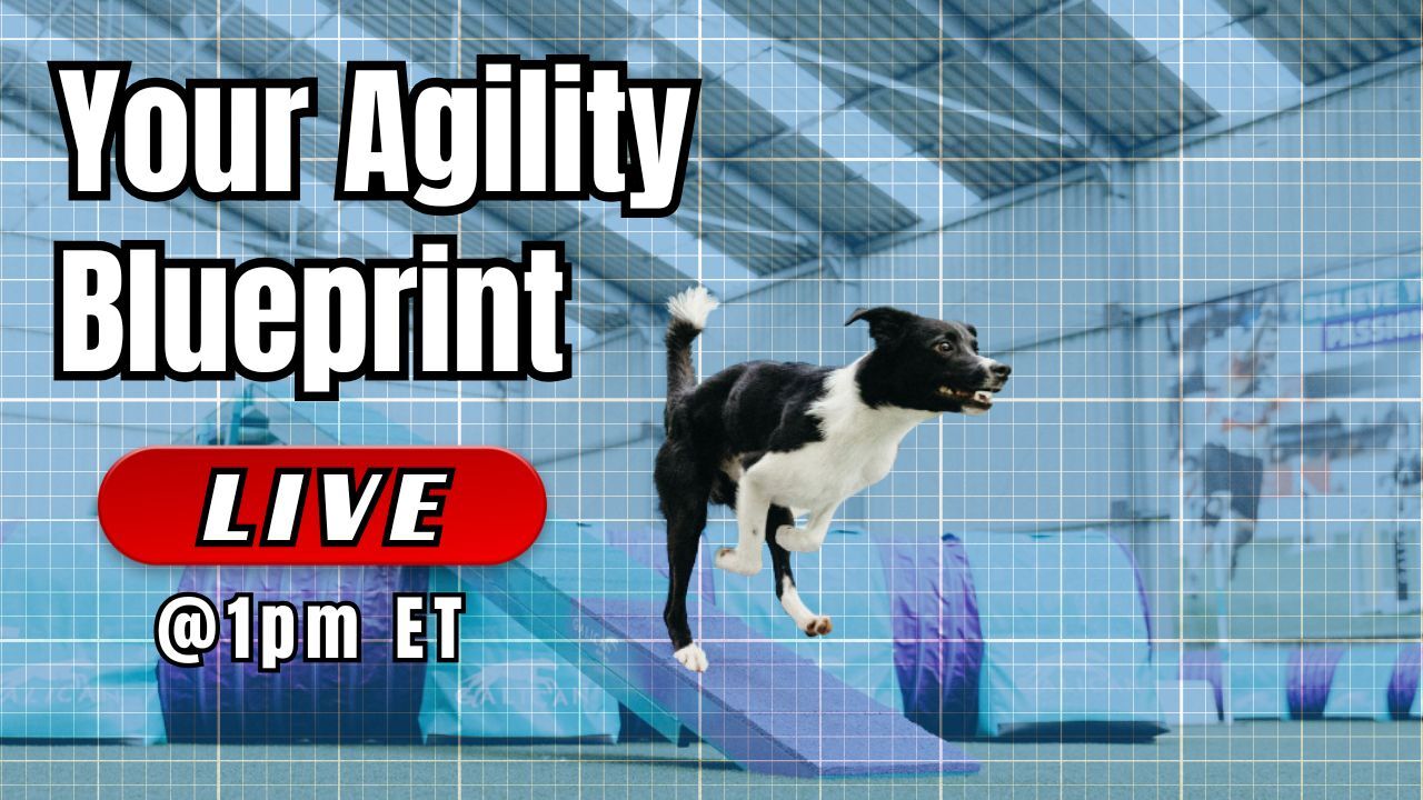 Lesson 3: Your Agility Blueprint at Home