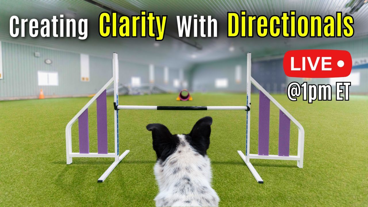Lesson 2: Creating Clarity with Directionals